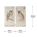 Set of 2 Lilith Owl Prints with Distressed Look, Rectangle Animal Hanging Wall Art 39.5x20" W2078P155210