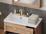 36" Wood Bathroom Vanity with Solid Wood Frame, 2 Soft Close Doors, 3 Soft Close Drawers, Adjustable N729P204176N