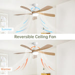 ZUN 52 Inch Modern Led Ceiling Fan With 3 Color Dimmable 5 ABS Blades Remote Control Reversible DC Motor W934P187538