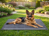 150 Pack Activated Carbon Dog Pee Pads 35.5"x24", Extra Large 6-Layer Odor Control Pet Training Pads 03695944