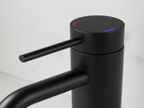 Single Handle Bathroom Faucet Lavatory Faucet Stainless Steel Single Hole-T10, Matte BlackUnable 03441011