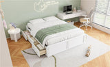 Wood Queen Size Platform Bed Frame with 6 Drawers, White N709P241723K