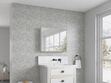 24'' W x 26'' H Surface Frameless Mirror Medicine Beveled Mirror Edges Bathroom Medicine W2287P250735