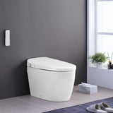 ZUN Smart Toilet Bidet Combo with Self-Cleaning Nozzle, Heated Seat, Night Light, Knob Control, Power W1219P262872