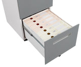 2 Drawer Mobile Locking File Cabinet, Rolling Filing Cabinet for Letter/A4 Size With 5 Wheels,GREY W124770978