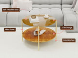 Modern Gold Round Double-Layer Coffee Table Tempered Glass Storage & Decoration 32.28-Inch W1935P457159