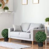 Artificial Plant/Green plants 81194799