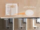 Bathroom LED Lighted Medicine Cabinet with Storage, 24" W x 30" H, Wall Mounted or Recessed, W5609P461277