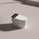 Smart Toilets with Heated Bidet Seat.Portable toilet with bidet built.Intelligent Toilet Auto W3133P280847