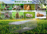 2PCS 24 Inch Humane Live Animal Trap Cage, Galvanized Steel Catch and Release Trap for Squirrel, 49318074