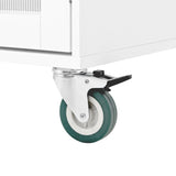 Mobile Kitchen Island Storage Trolley Cart on Wheels with Dropleaf Top, Towel/Spice Rack,2 Drawers, W1157P308196