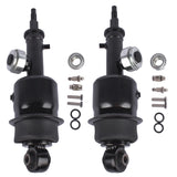 2Pcs Rear Air Suspension Shock Struts For Infiniti QX56 2011-2013 QX80 2014-2021 5.6L V8 GAS 63958012