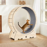 Cat Exercise for Indoor Cats, Cat Running with Carpeted Runway, Cat Sport Treadmill W1655P144270