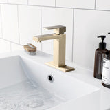 ZUN Bathroom Faucet Single Hole, Single Handle Stainless Steel Faucet for Bathroom Sink with Deckplate W1224P195904