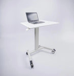 ZUN Compact Tech Desk Standing and Adjustable Desk B091P183636