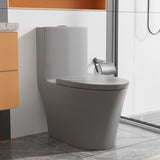 Matte Grey Elongated One Piece Toilet Dual Flush 1.1/1.6 GPF Water Saving Comfort Seat Height, Map W2826P192008