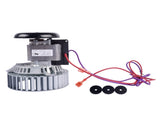 Blower Motor 6314894, 6318358 Silver Replacement for Goodman 0131G00000PS, 0131G00000P 73712323
