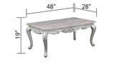 ZUN Melrose Traditional Style Coffee Table Made with wood in Silver Finish B009138496