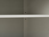 2 Door Cabinet, American Furniture, Suitable for Bedroom, Living Room, Study W688P143784