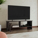 Navia 47" Wide Tv Stand with One Door Cabinet and Open Shelf for Living Room, Entertainment Center B200P286962