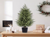 Set of 2 3ft Two-Tone Green PE Potted Trees with Round Black Pots, 250 Branch Tips Each, Artificial 26409058