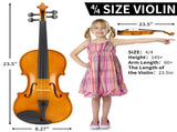 Full Size 4/4 Violin Set for Adults Beginners Students with Hard Case,Violin 08941007