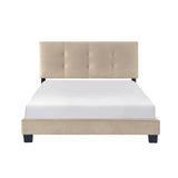 1pc Full Platform Bed Light Brown Velvet Upholstered Adjustable Height Headboard Button Tufted Solid B011P203574