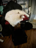 Black Gothic Cat Tree, Multi-Level Spooky Cat Tree with Scratching Posts, Perches, Hammock, and Cat W243P326635