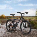 ZUN S26102 26 Inch Mountain Bike, Shimano 21 Speeds with Mechanical Disc Brakes, High-Carbon Steel W709P186911