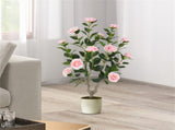 2 Pack Orange Artificial Camellia Tree with Blooming Flower - Pink 06699618