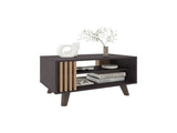 Coffee Table, 1 Door, 2 Shelves, Black Wengue / Natural Oak B097P369429