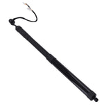 2X Rear Tailgate Power Hatch Lift Support fit for Lexus NX300 NX300h AZ10 2.5L 2019 37089137