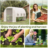 Mini Walk-in Greenhouse 06744769