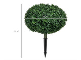 Artificial Plant/Green plants 34919833