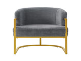 Modern Accent Chair Cozy Armchair Upholstered Reading Chair with Gold Metal Frame Living Room, N763P360688E