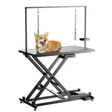 Professional Electric Dog Grooming Table - Heavy Duty, Height Adjustable Pet Grooming Table W3150P280546