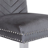 Eva 2 Piece Stainless Steel Legs Chair Finish with Velvet Fabric in Gray 733569236183