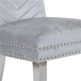 Eva 2 Piece Stainless Steel Legs Chair Finish with Velvet Fabric in Silver 733569295678