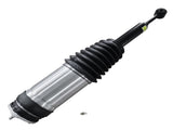 Rear Left or Right Air Suspension Strut for Tesla X 75D 90D 100D P90D P100D 2016-2018 102746100G 14456447