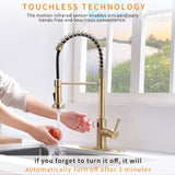 Touchless Kitchen,Hands Free Automatic Smart Kitchen Brushed Nickel Gold Smart Kitchen W1932P156241