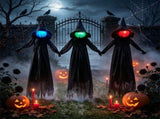 3 Pack Halloween Yard Stakes Set, Color Changing Lighted Heads with Timer, Black Robe 86989038