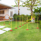 Dog agility training equipment 84793303