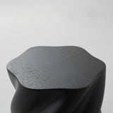 Petal Shape Side Table Black Fiberglass Sculptural Accent Table, 19.69" High, Root-Textured W2664P462012