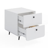 Modern Night Stand Storage Cabinet for Living Room Bedroom, Steel Cabinet with 2 Drawers,Bedside W252113552