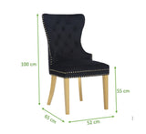 Simba Gold 2 Piece Dinning Chair Finish with Velvet Fabric in Black 659436063105