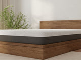 Omne Fria 12 Inch Queen Soft Mattress With Cooling Cover B047P316884