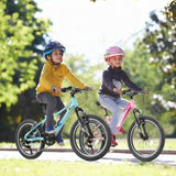 A20261 20 inch Children's Bicycle, Shock Absorbing Front Fork, 21 - Speed, V - brakes, Mountain W2563P295767