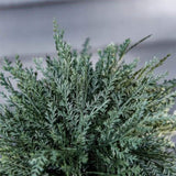 3 feet pre-potted spiral fake plant simulation tree 69909682