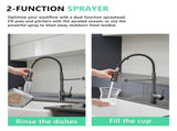 Commercial Kitchen Faucet with Pull Down Sprayer, Single Handle Single Lever Kitchen Sink Faucet W1932P154721