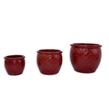 Set of 3 Ceramic Flowerpot, Modern Planter for Patio, Garden, Windowsill - Red W3273P321489